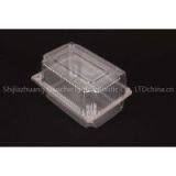 Transparent Plastic Clamshell Packaging Food Grade thumbnail-1
