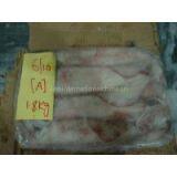 Selling Offer Of Loligo Squid Whole Round thumbnail-1