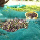 Harvest Olive Netting HDPE Warp Knitted Green Olive Gathering Net for Sale thumbnail-6