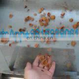 hazelnut nut kernel shell separator machine