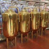 300L/ 2BBL Titanium Plating Stainless Steel Beer Fermentation Tank Beer Fermenter thumbnail-5