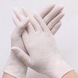 Disposable Vinyl Gloves thumbnail-5