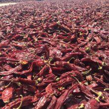 Qingdao Doana Import&Export Co., Ltd company overview - view 1 thumbnail