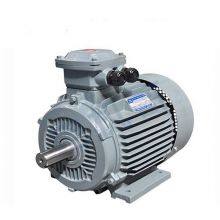 Ye5 Series National Standard Grade 1 Wannan Electric Motor Ye5-3551 2-8/220kw/250kw/660v/b3/ip65/b3/b35/b5, Customizable Upon Special Request thumbnail-5