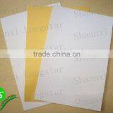 Thin PET Sheet thumbnail-1