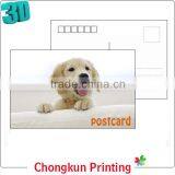 Cute pet design wholesale postcard