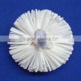 Sola Flower thumbnail-6