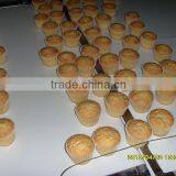 Fancy Cake Production Line