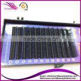 Best Sell for 3D Eyelash Extension 0.07mm From 6mm to 17mm