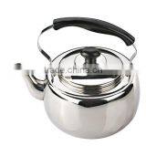 Stainless Steel Kettle