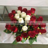 Real touch wholesale cheap red rose flower for wedding