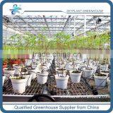 Greenhouse Drip Irrigation System for Plant Pot Quality Choice thumbnail-3