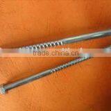 Wood Screw thumbnail-1