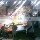 Al Shareed Enterprises company overview - view 1 thumbnail