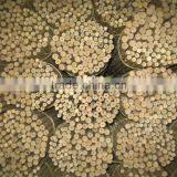 Bamboo Stake - Tonkin Cane thumbnail-1