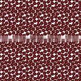 Water Transfer Printing Film GWN1256.