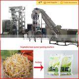 Automatic Mung Bean Sprout Machine