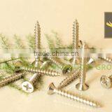 Oval Cross Head Self Piercing Screws thumbnail-1