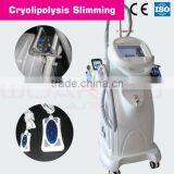 Liposuction Machine / Cryolipo / Freezing Slimming Equipment (CE Approval ) thumbnail-1
