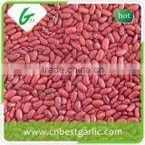 Small Red Kidney Beans Nutrition Facts thumbnail-3