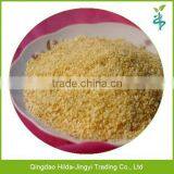 Hot Selling Dehydrated Garlic Granule