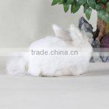Customized Custom Plush White Rabbit Sex Toy Bunny With Carrot thumbnail-4
