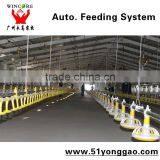 Broiler Feeding Pan system for Poultry Equipment Auger feeder in Brioler Farm