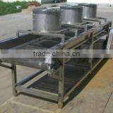 Fruit and Vegetables Selecting and Drying Machine