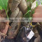 4 Piece Softouch Garden Tool Set Ergonomic Gardening Tool Set - Made From High Quality Anti-corrosion Aluminium thumbnail-4