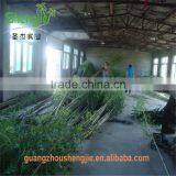 SJLJ013369 Artificial Bamboo Plant / Fake Plastic Bamboo Stick / Artificial Plant for Garden Fence Decoration thumbnail-2