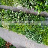Home and Outdoor Decoration Synthetic Cheap 1m x 1m Artificial Vertical Green Grass Wall E08 04C40 thumbnail-4