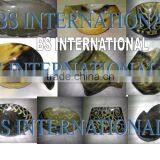 Buffalo Ox Horn Bowl/Trey/Dish thumbnail-3