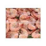 Freeze Dried Shrimps thumbnail-1
