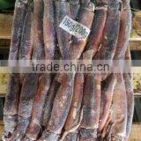 Frozen W/R Squid Illex Argentinus thumbnail-5