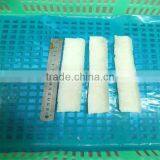 Seafood/frozen Live Squid for Sale thumbnail-1