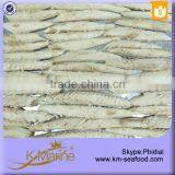 King Marine New Coming Mackerel Frozen Seafood Importers thumbnail-3