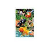 Sell 3D Notebook thumbnail-1