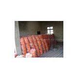 THREE RED CARROT thumbnail-1