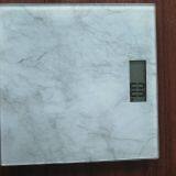 D3E89D90C87B7A8A1A5D2279AAF5A73E