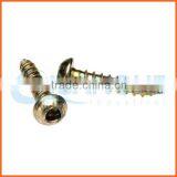 China Supplier Carbon Steel Anti-theft Screw thumbnail-4