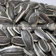 Wholesale Chinese Famous Brand Qiaqia Roasted Sunflower Seeds Sunflower Kernel Seeds Sunflower thumbnail-5