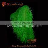 Wholesale Cheap 55-60inch Ostrich Feather Fringe for Wedding Decoration thumbnail-1