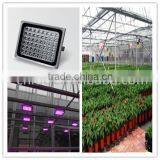 Greenhouse LED Plant Light for Growing Tomato, Lettuce, Vegetable, Flower, Orchid, Tulip, Medicinal Plants thumbnail-6