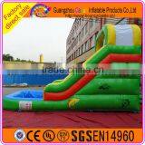 Outdoor Sports Colourful Inflatable Water Slide thumbnail-4