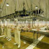 Boneless Skinless HALAL Frozen Chicken Breast thumbnail-2