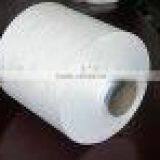 DTY Cationic Bright Dyeable Yarn(300D/96F) thumbnail-1