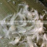 High Quality White Washed Feather thumbnail-4