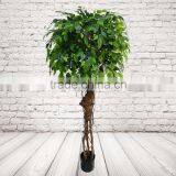 Artificial Indoor Ficus Tree thumbnail-3