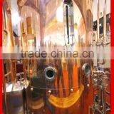 Mini Beer Fermenter 200l Fermentor for Pub