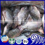 Tilapia GS Whole Gutted Scaled IQF thumbnail-1